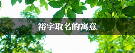 裕名字意思|裕字取名的寓意